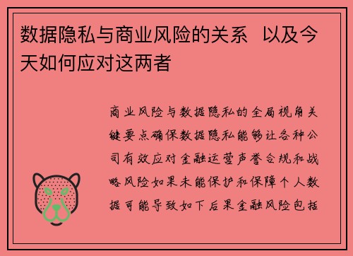 数据隐私与商业风险的关系  以及今天如何应对这两者 