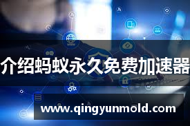 介绍蚂蚁永久免费加速器